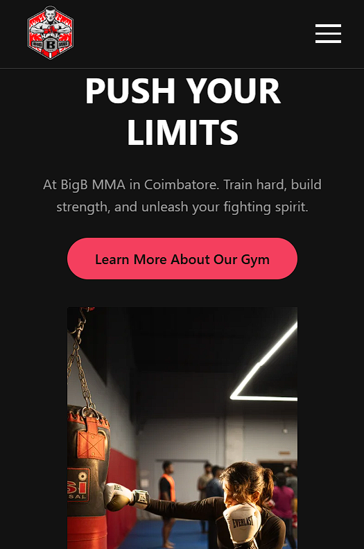 BigB MMA website mobile interface in dark mode showing contrast-optimized design