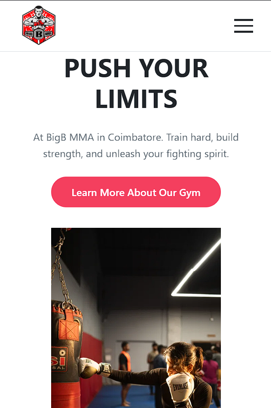 BigB MMA website mobile interface in light mode showing clean, accessible design