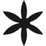 Noir Creative Studio